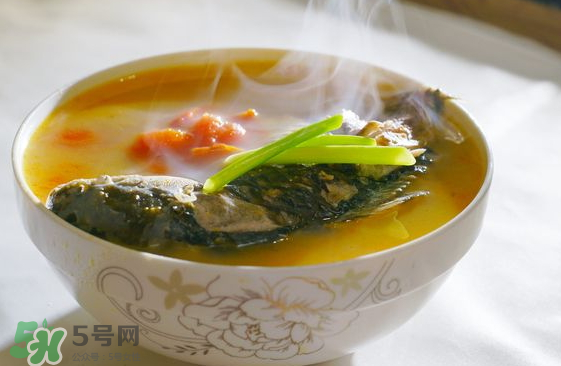 鯽魚湯可以放西紅柿嗎？西紅柿鯽魚湯的功效