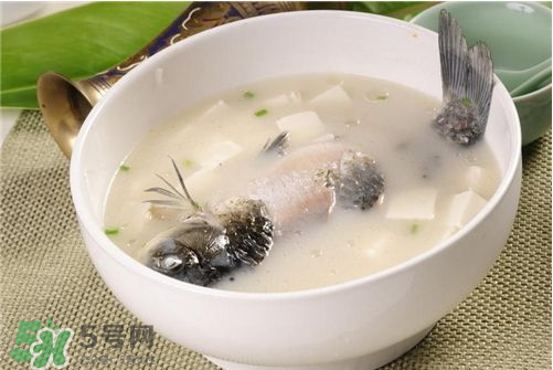 喝鯽魚(yú)湯會(huì)胖嗎？鯽魚(yú)湯可以經(jīng)常喝嗎？