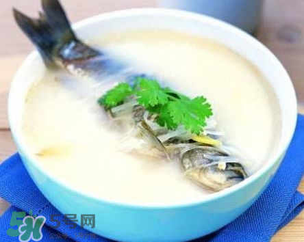 鯽魚湯可以放牛奶嗎？牛奶鯽魚湯的做法