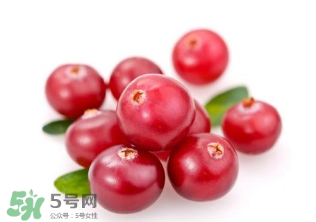 蔓越莓在中國(guó)有嗎？蔓越莓怎么辨別真假
