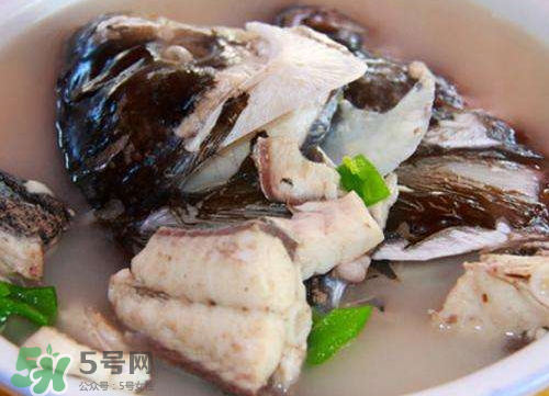 鰱魚湯怎么熬湯？鰱魚湯的功效與作用