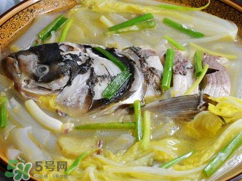 鰱魚湯怎么熬湯？鰱魚湯的功效與作用