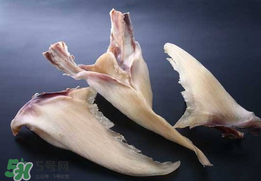 干魚翅怎么保存？魚翅可以放多久？
