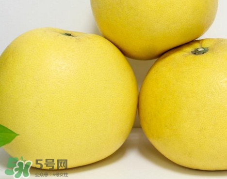 蜜柚是哪個季節(jié)的水果？蜜柚和沙田柚的區(qū)別是什么？