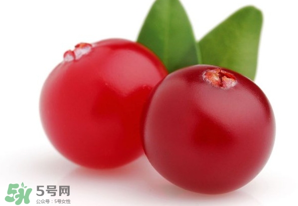 蔓越莓是藍(lán)莓嗎？蔓越莓是哪里產(chǎn)的