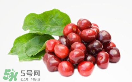 蔓越莓有什么作用？蔓越莓的功效與作用