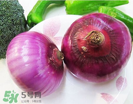 洋蔥狗狗能吃嗎？狗狗吃了洋蔥怎么辦？
