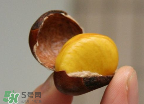 板栗用冷水還是熱水煮？煮板栗用冷水還是熱水？