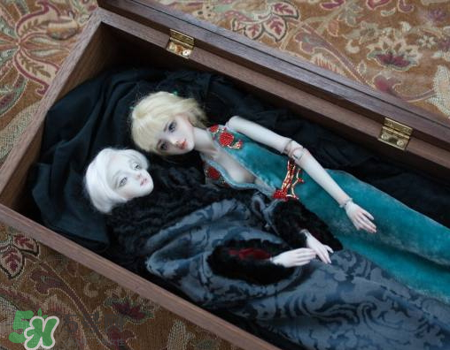 Enchanted Doll多少錢？Enchanted Doll哪里買？