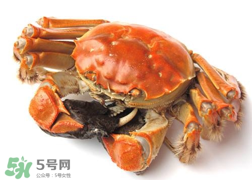 螃蟹里面有寄生蟲嗎？螃蟹有寄生蟲還可以吃嗎？