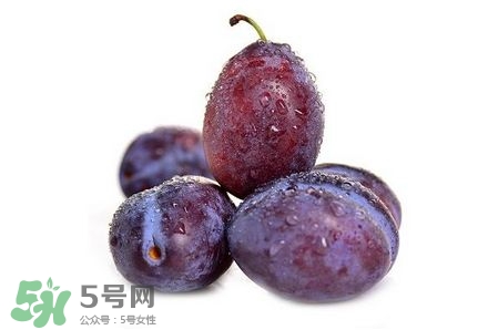 西梅可以放冰箱嗎？西梅放冰箱冷藏還是冷凍？