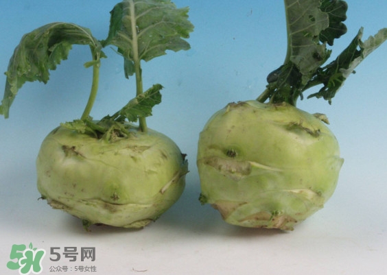 苤藍(lán)怎么讀？苤藍(lán)孕婦可以吃嗎