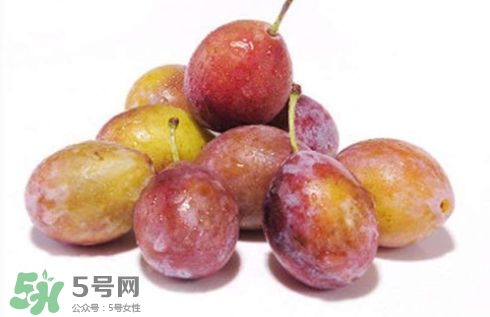 西梅可以放冰箱嗎？西梅放冰箱冷藏還是冷凍？