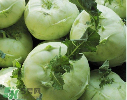 四川大頭菜學(xué)名叫什么？大頭菜又叫什么菜