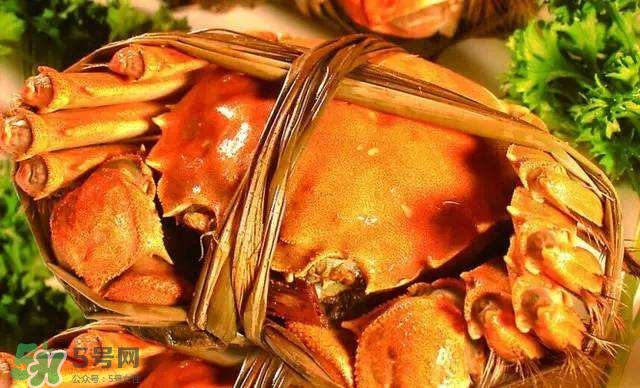 螃蟹吃什么食物長得大？十月份吃什么螃蟹？