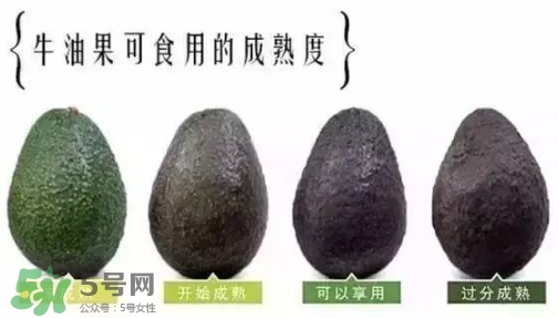 牛油果是什么味道？牛油果是甜的嗎？
