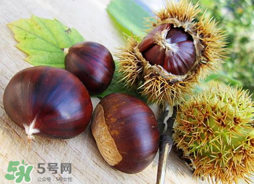 板栗泡酒真的能壯陽嗎？板栗泡酒有什么功效？