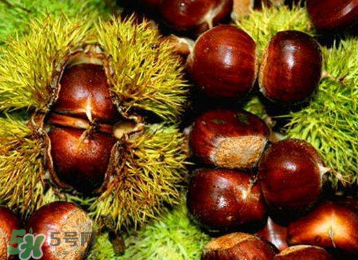 板栗泡酒要去皮嗎？板栗泡酒不去皮可以嗎？