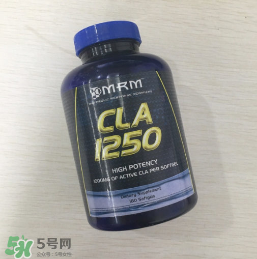 肌酸能和蛋白粉一起吃嗎？肌酸能長期服用嗎？