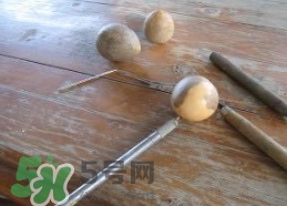 牛油果核能吃嗎？牛油果核怎么種盆栽？