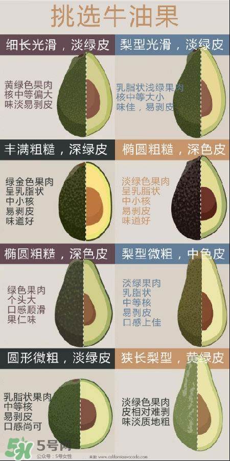 牛油果怎么挑選？牛油果多少錢一斤？
