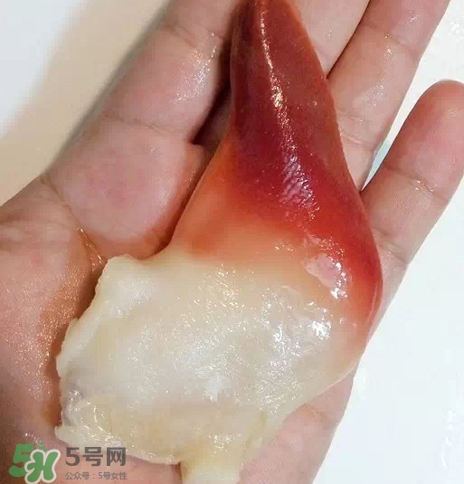 北極貝多少錢一斤？北極貝長什么樣子