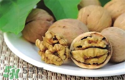 核桃分心木可以煲湯嗎？核桃分心木可以和枸杞泡水嗎？