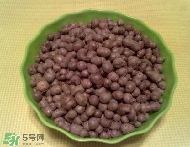 山藥豆是什么東西？山藥豆是長(zhǎng)在土里嗎？