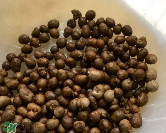 山藥豆能生吃嗎？山藥豆能帶皮吃嗎？