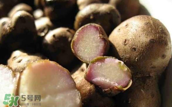 山藥豆能泡酒嗎？山藥豆能打豆?jié){嗎？
