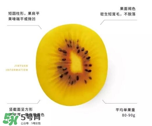黃心獼猴桃叫什么名字？黃心獼猴桃是什么品種