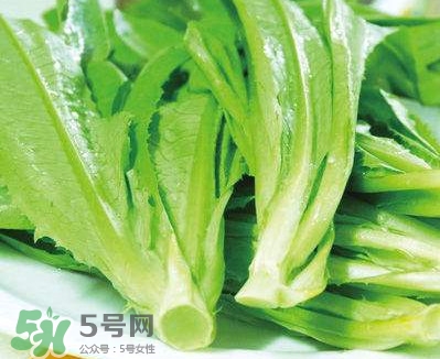 萵苣葉能吃嗎？萵苣葉和油麥菜有什么區(qū)別