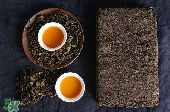 茯茶是熱性還是涼性？茯茶是不是放越久越好？