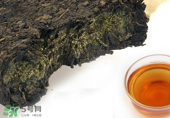 茯茶是熱性還是涼性？茯茶是不是放越久越好？