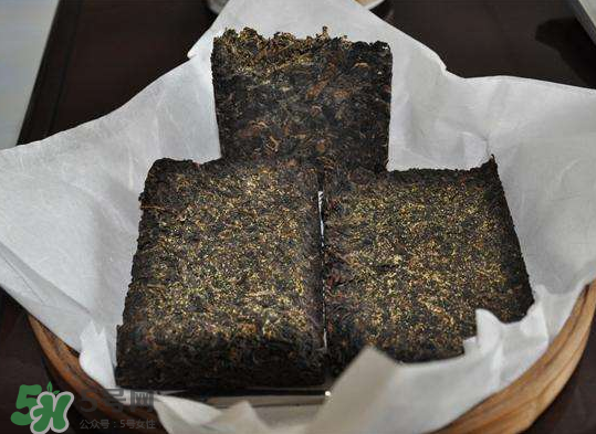 茯茶是熱性還是涼性？茯茶是不是放越久越好？
