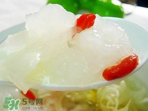 雪蛤膏是啥？雪蛤膏的功效與作用