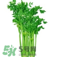 醋泡洋蔥能降血壓嗎？哪些食物可以降血壓？