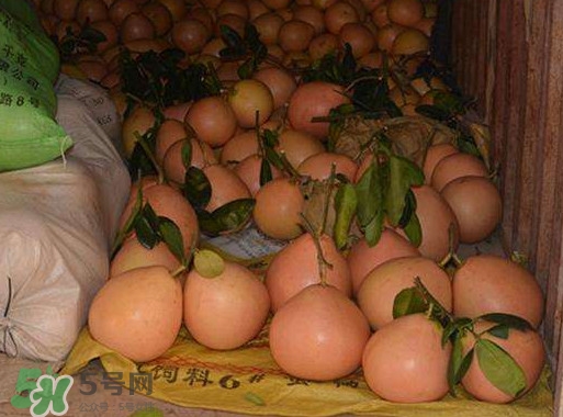 三紅蜜柚什么時候種植？三紅蜜柚什么時候成熟