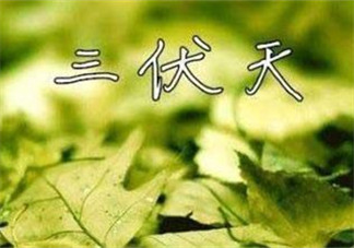 為什么三伏天最熱？如何過好三伏天？