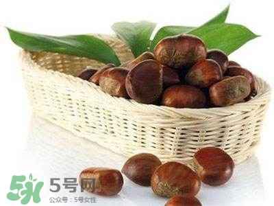 板栗酒能治療腎陽(yáng)虛嗎？板栗泡酒真的能壯陽(yáng)嗎？