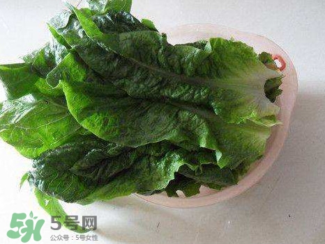 孕婦能吃涼拌萵苣葉嗎？萵苣葉煮水可以治蕁麻疹嗎