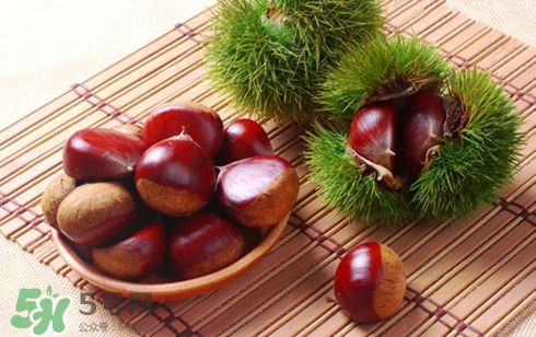板栗酒能治療腎陽(yáng)虛嗎？板栗泡酒真的能壯陽(yáng)嗎？