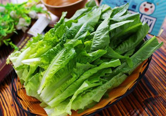 萵苣葉要焯水嗎？萵苣葉怎么做才不苦？