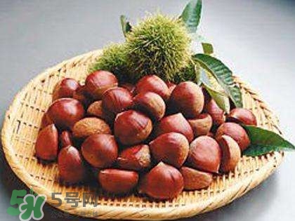 板栗酒能治療腎陽(yáng)虛嗎？板栗泡酒真的能壯陽(yáng)嗎？