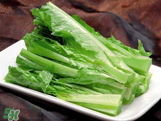 萵苣葉能吃嗎？萵苣葉和油麥菜有什么區(qū)別