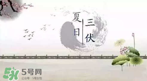 三伏天練什么？三伏天具體怎么養(yǎng)生？