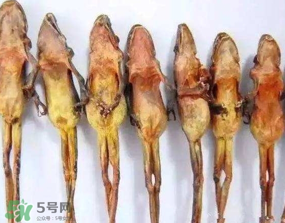 雪蛤干多少錢一斤？雪蛤干怎么吃？