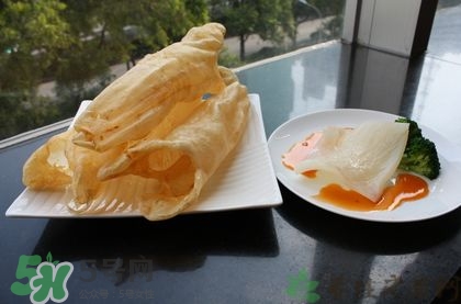 花膠可以放多久？花膠可以放冰箱嗎？