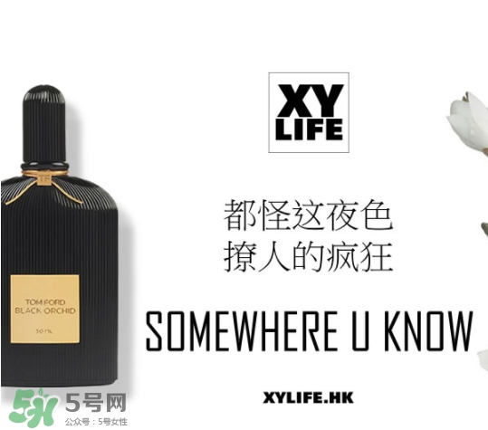 tom ford午夜蘭花香水多少錢？午夜蘭花香水專柜價格
