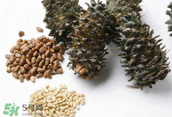 松子是松樹的果實(shí)嗎？松子是酸性還是堿性